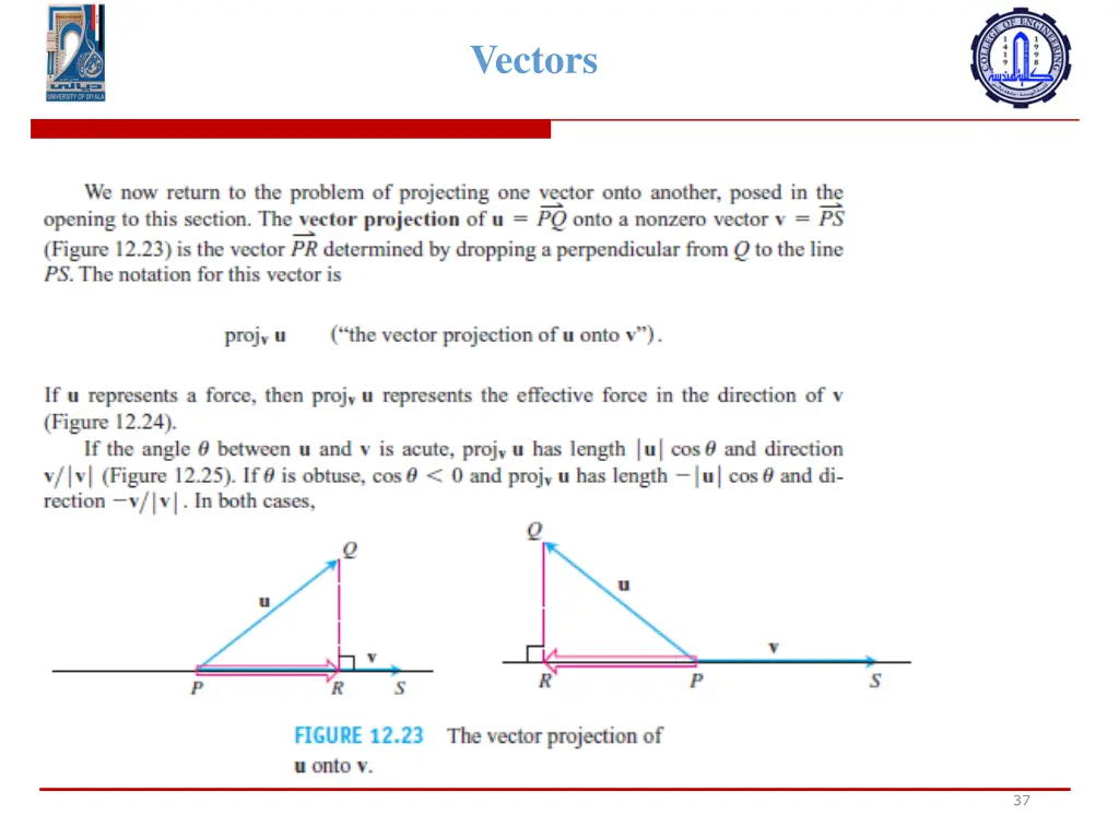 vectors 19