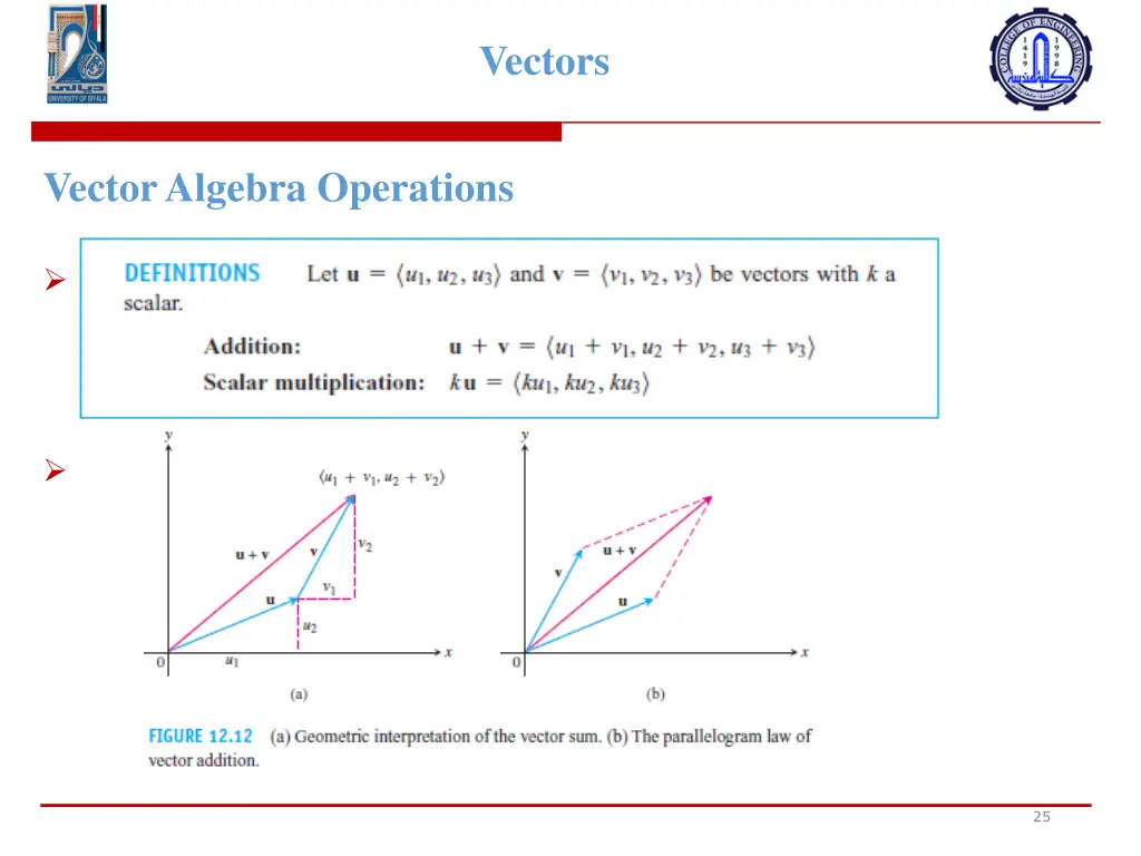 vectors 7