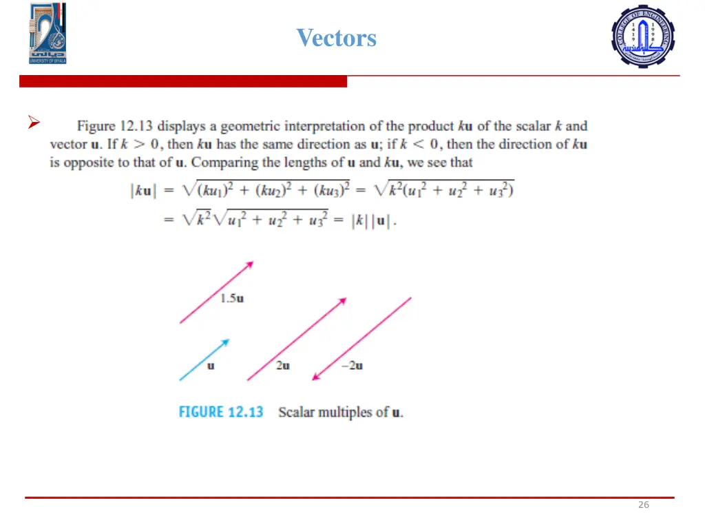 vectors 8