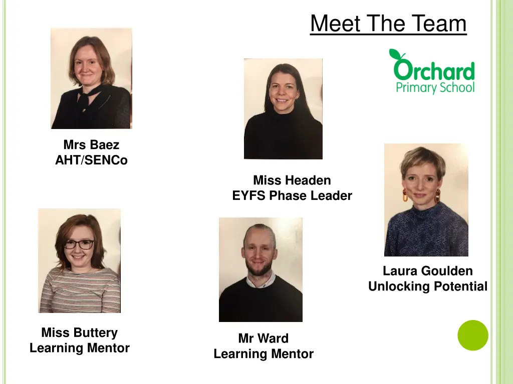 meet the team