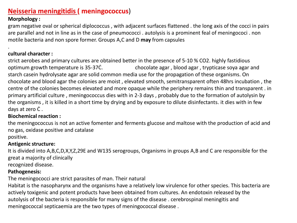 neisseria meningitidis meningococcus morphology