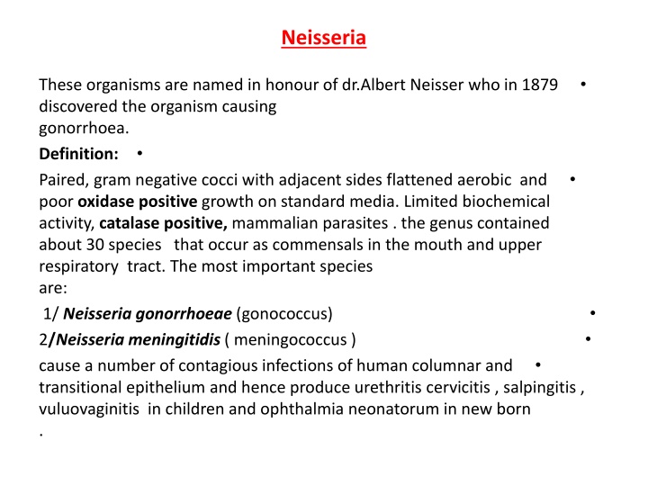 neisseria