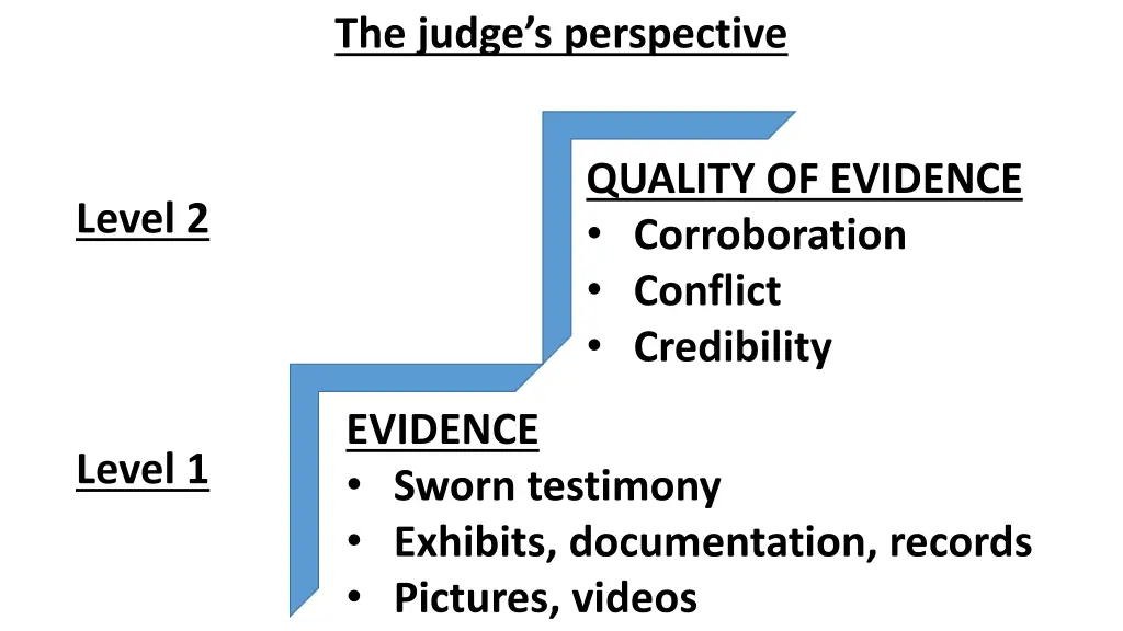 the judge s perspective