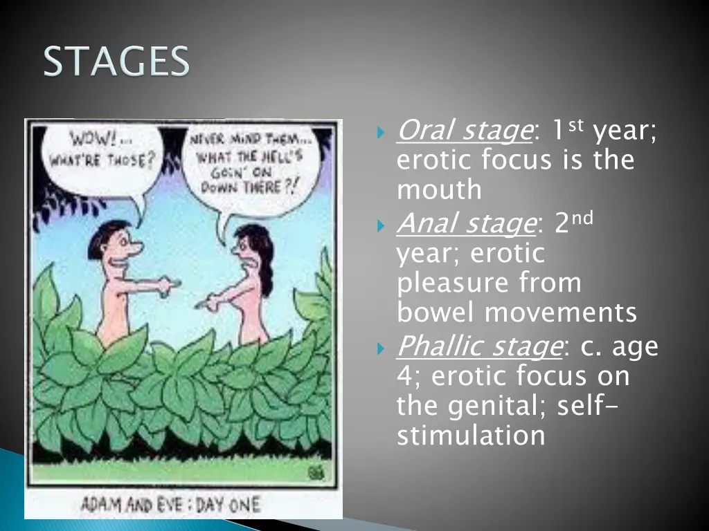 oral stage 1 st year erotic focus is the mouth