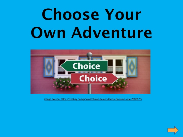 choose your own adventure