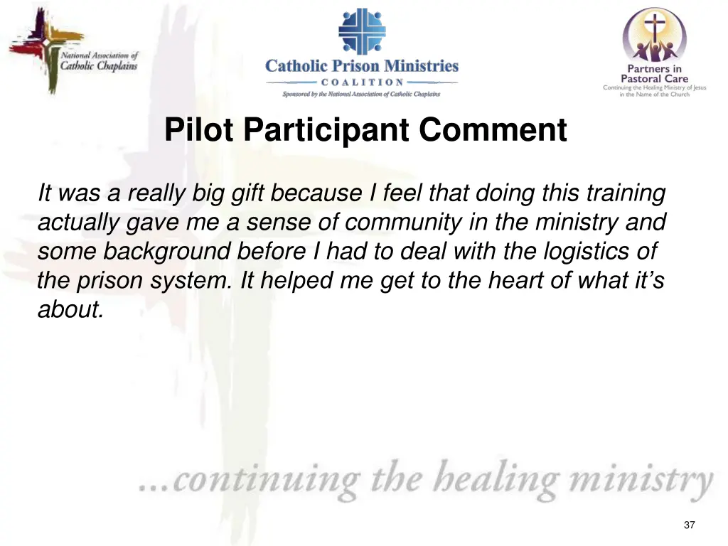 pilot participant comment 1