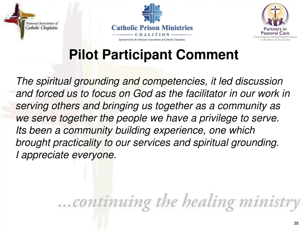 pilot participant comment 2