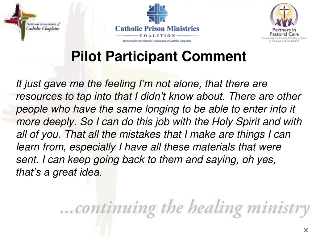 pilot participant comment