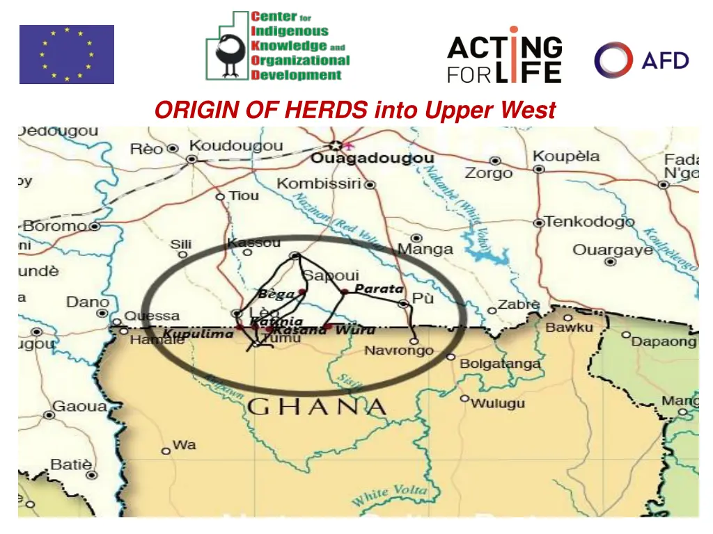 origin of herds into upper west