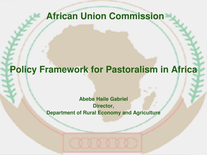 african union commission