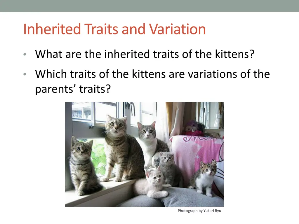 inherited traits and variation