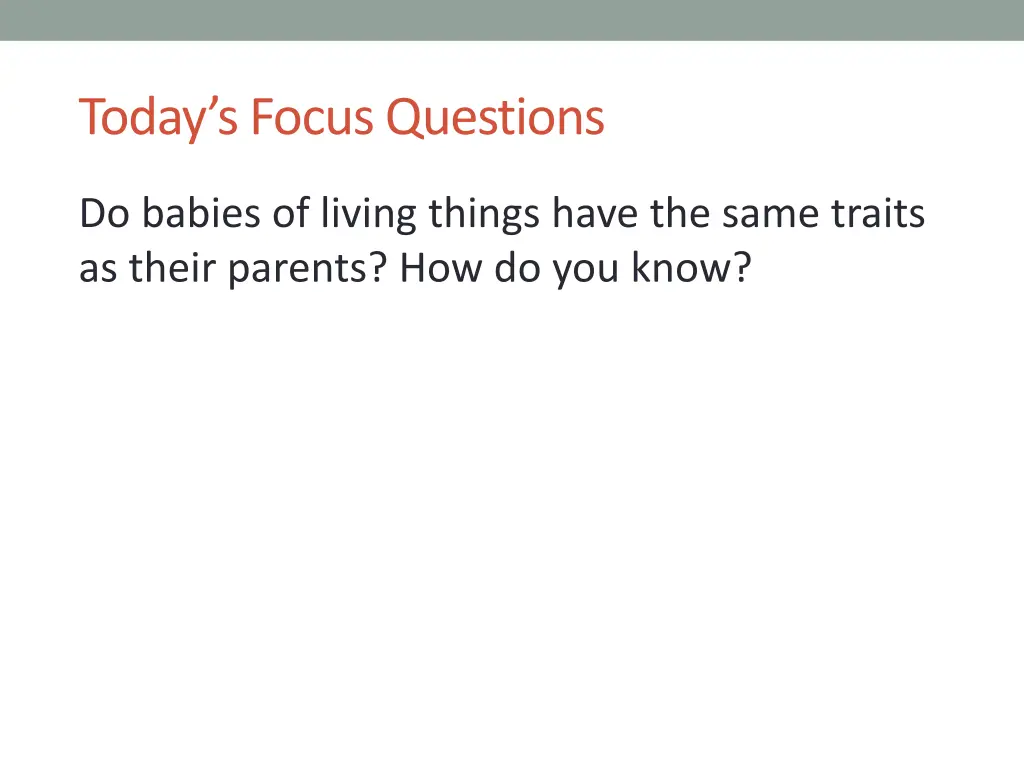 today s focus questions