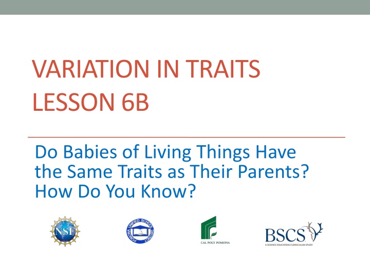 variation in traits lesson 6b