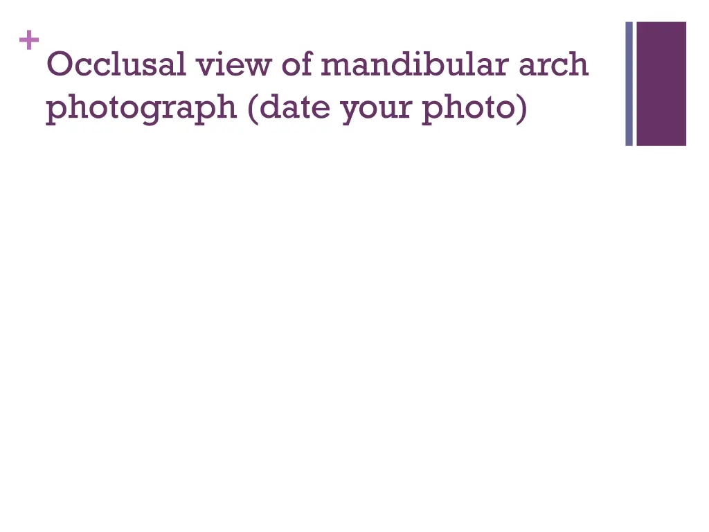 occlusal view of mandibular arch photograph date