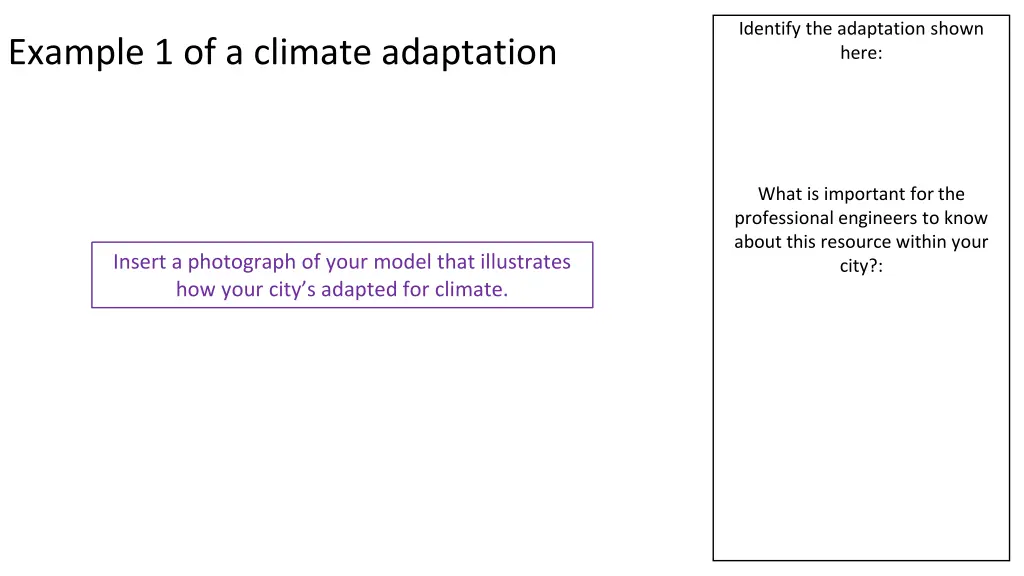 identify the adaptation shown here