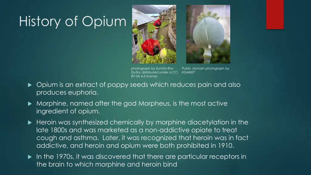 history of opium