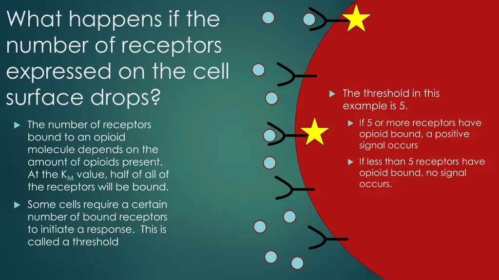 what happens if the number of receptors expressed