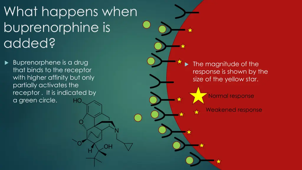 what happens when buprenorphine is added