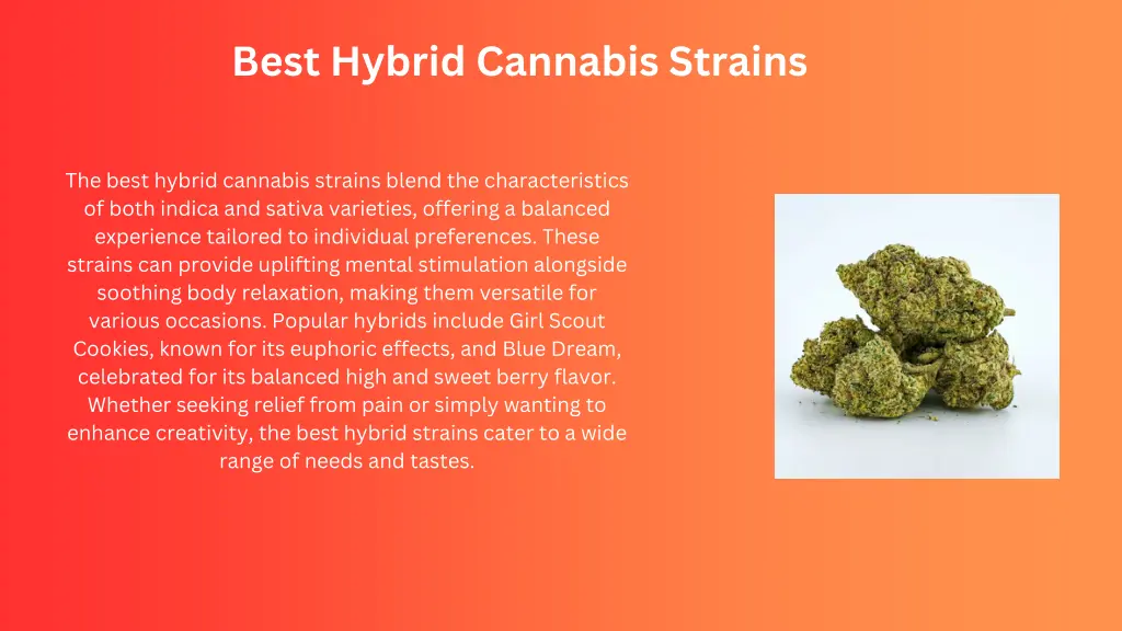 best hybrid cannabis strains