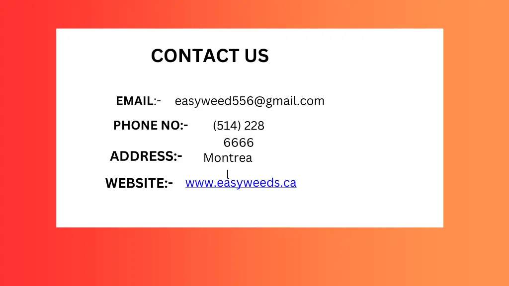 contact us