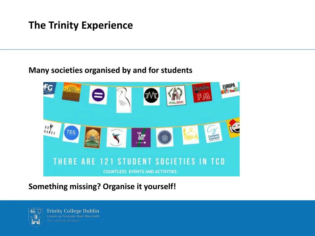 the trinity experience