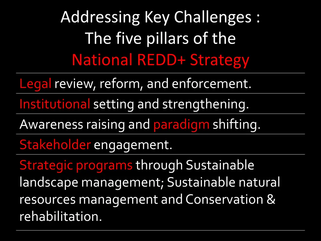 addressing key challenges the five pillars