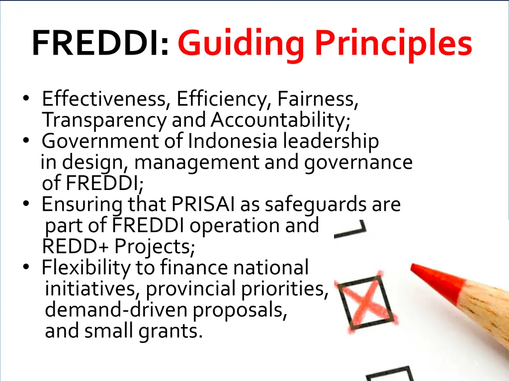 freddi guiding principles