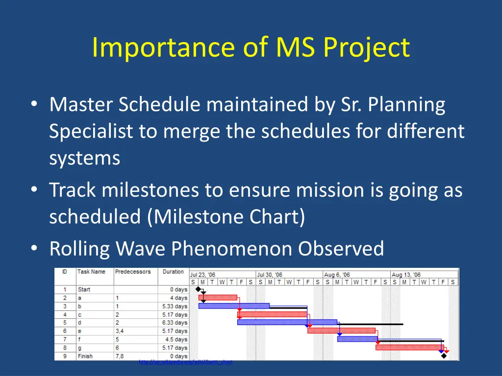 importance of ms project