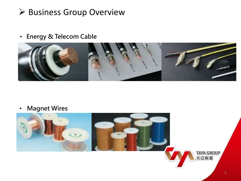 business group overview