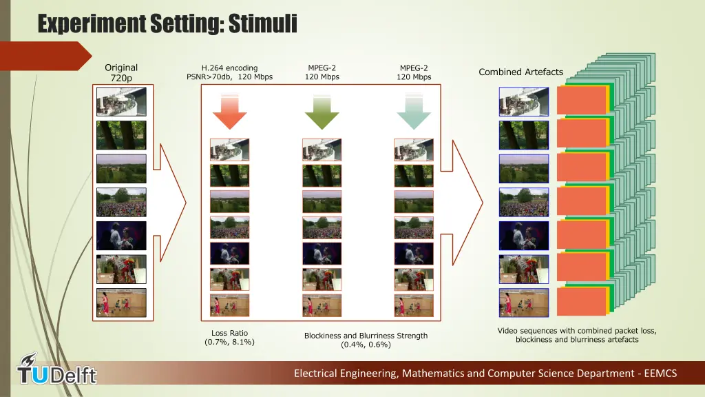 experiment setting stimuli