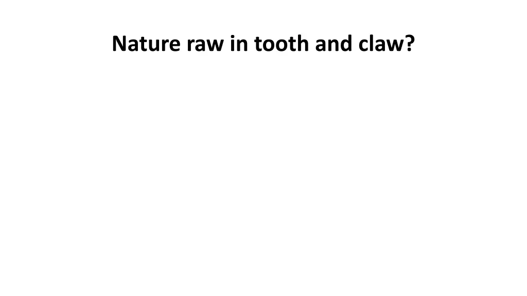 nature raw in tooth and claw