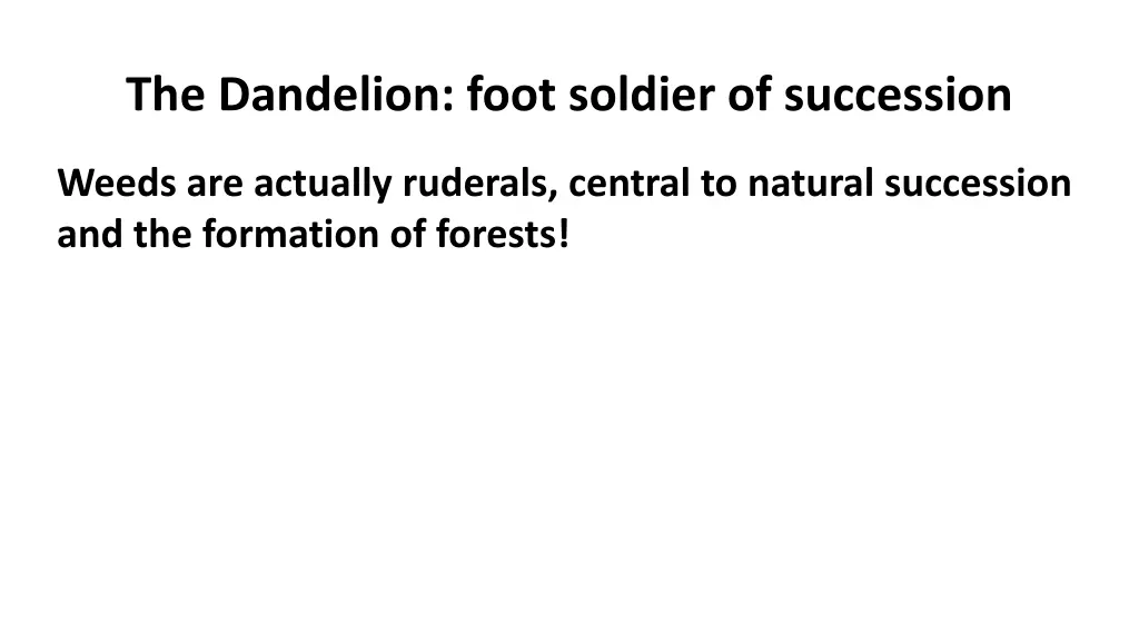 the dandelion foot soldier of succession