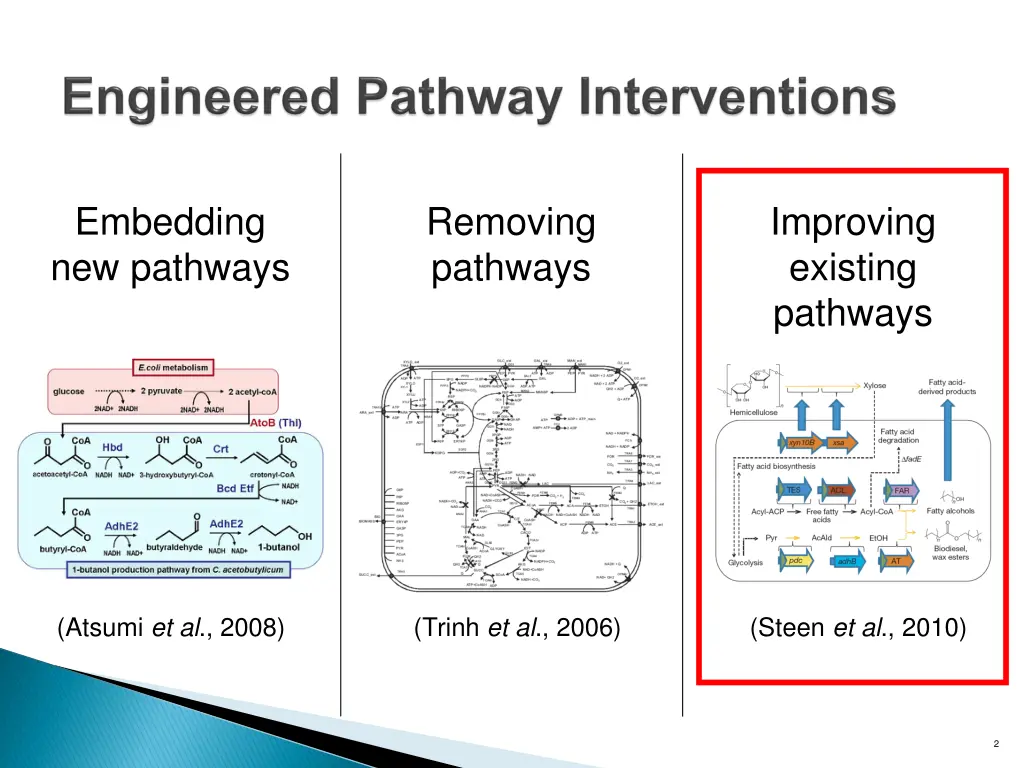 embedding new pathways