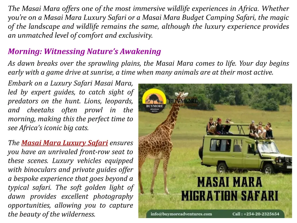 the masai mara offers one of the most immersive