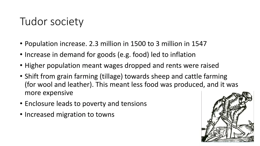 tudor society