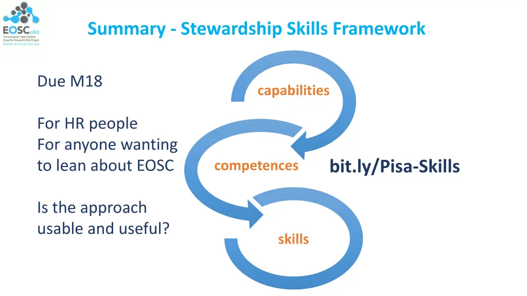 summary stewardship skills framework 1