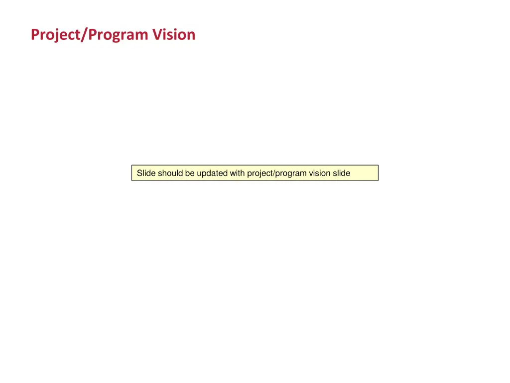 project program vision