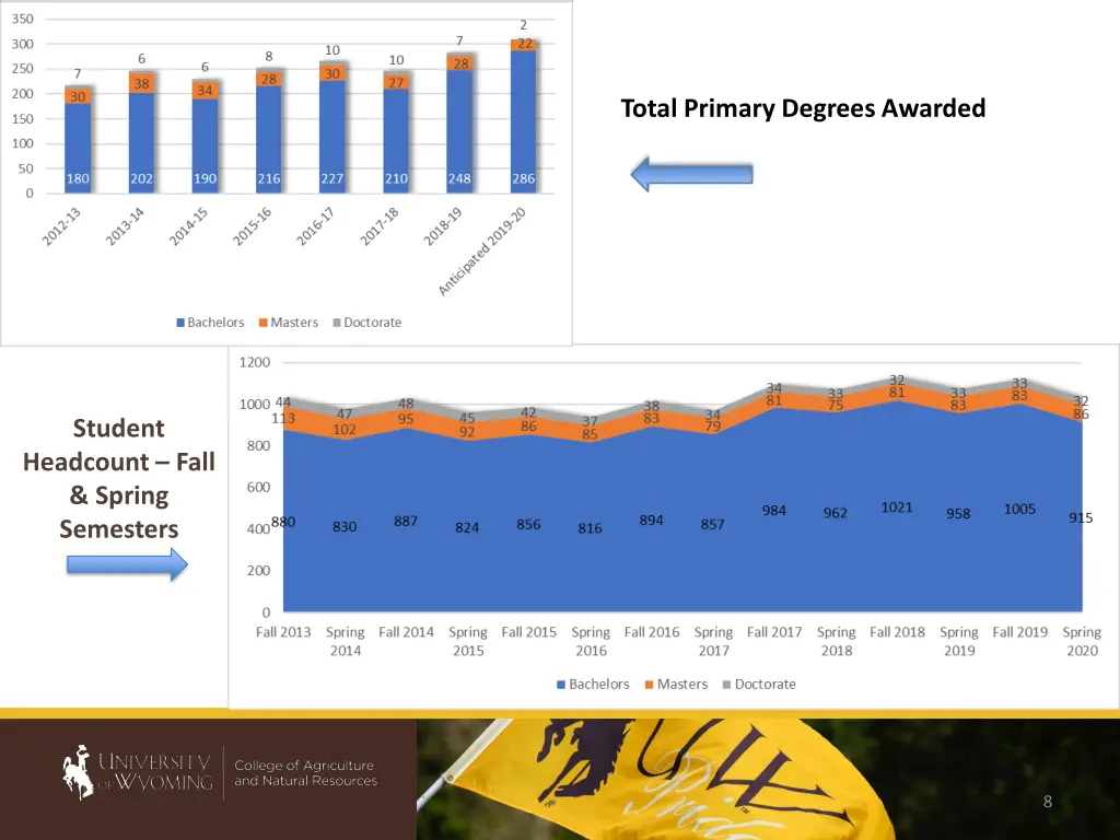 total primary degrees awarded