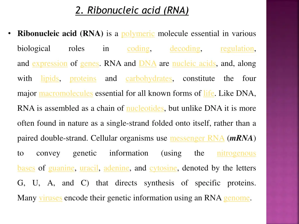 2 ribonucleic acid rna