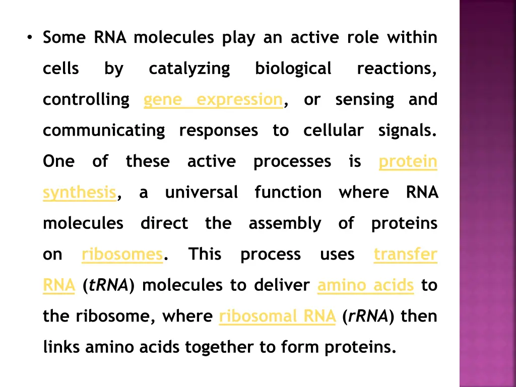 some rna molecules play an active role within