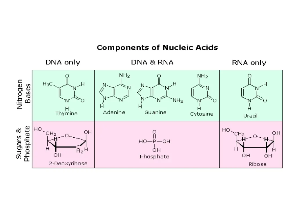 https www2 chemistry msu edu faculty reusch 1