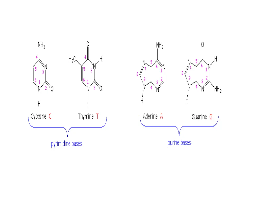 https www2 chemistry msu edu faculty reusch