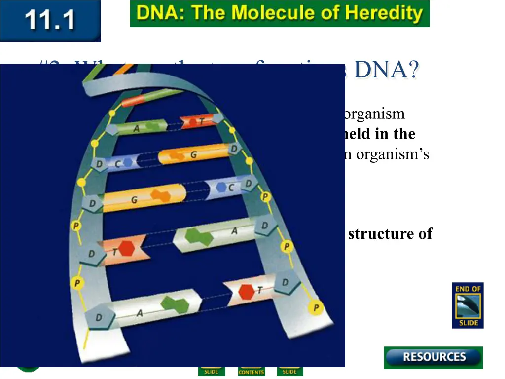 2 what are the two functions dna