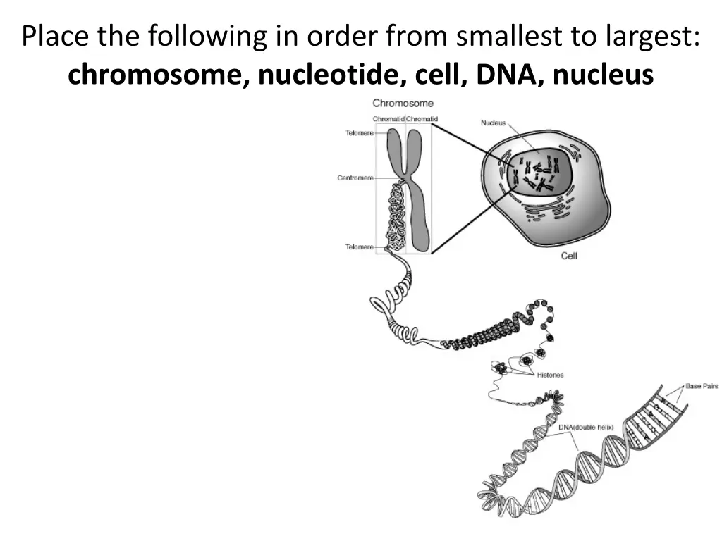 place the following in order from smallest