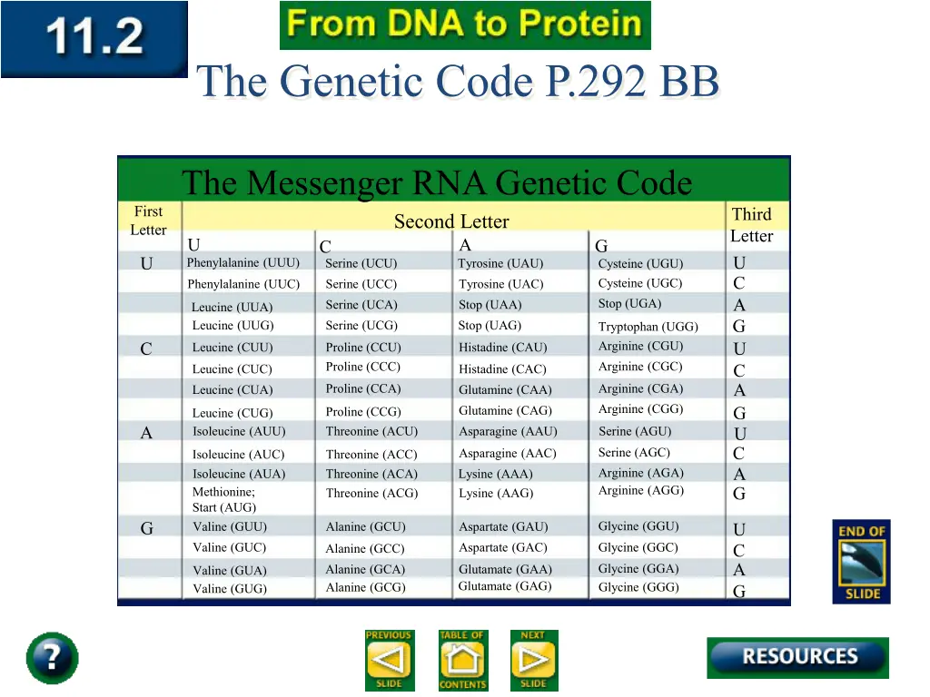 the genetic code p 292 bb