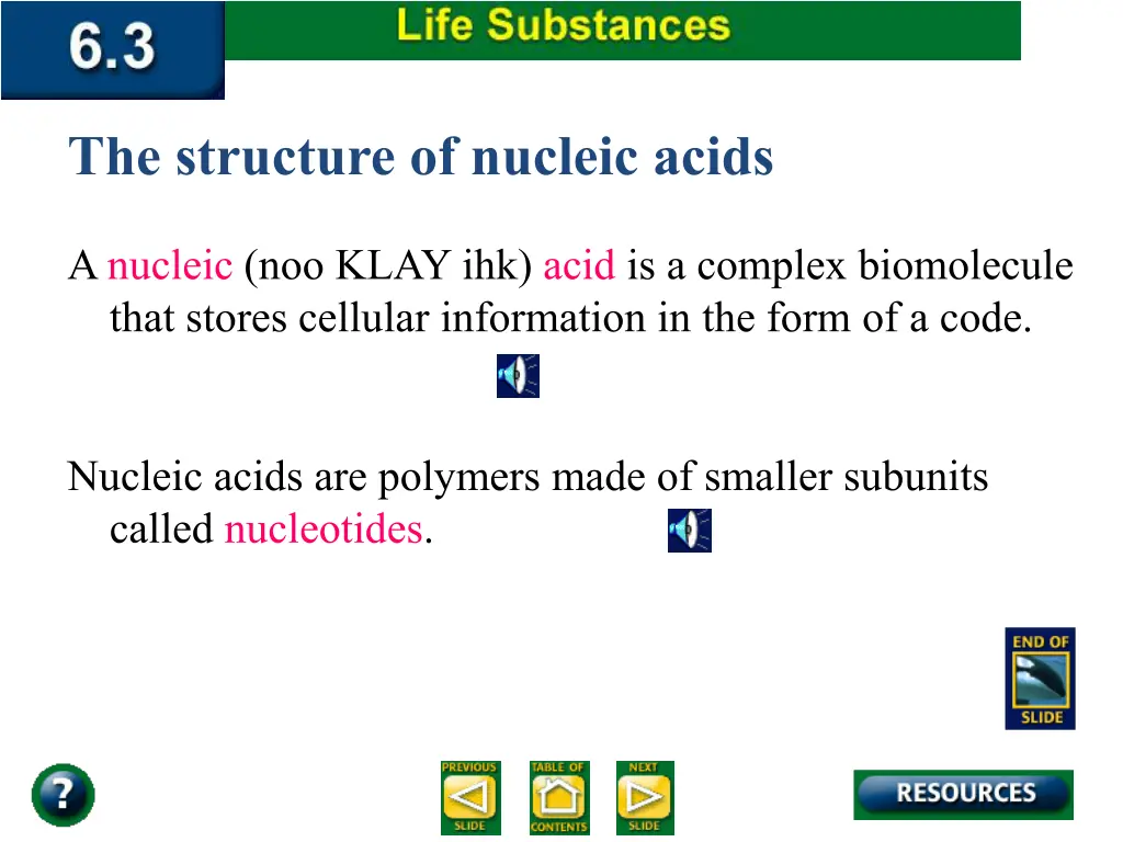 the structure of nucleic acids