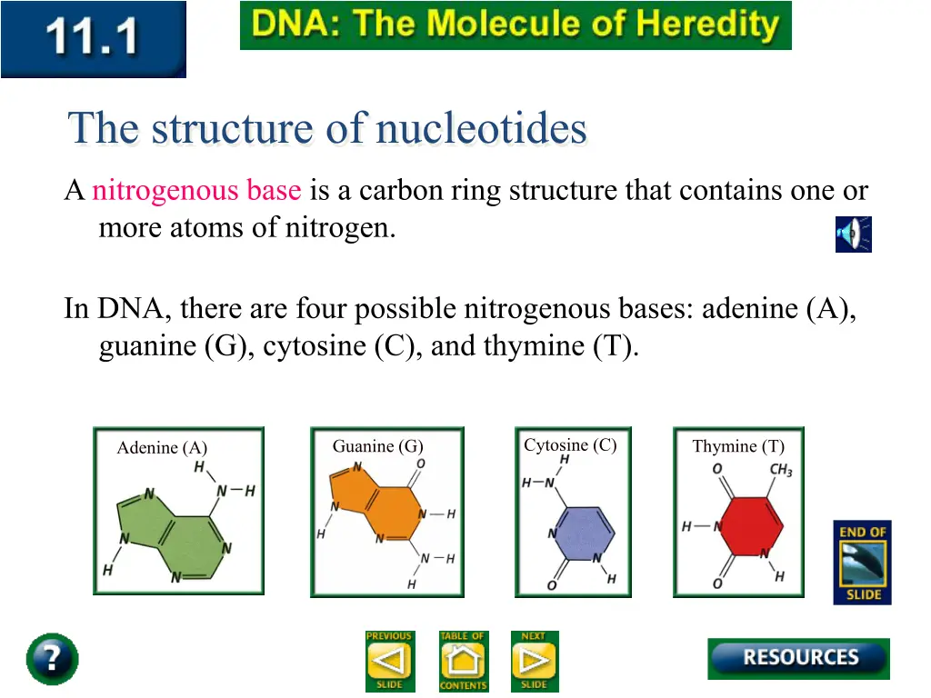 the structure of nucleotides 2