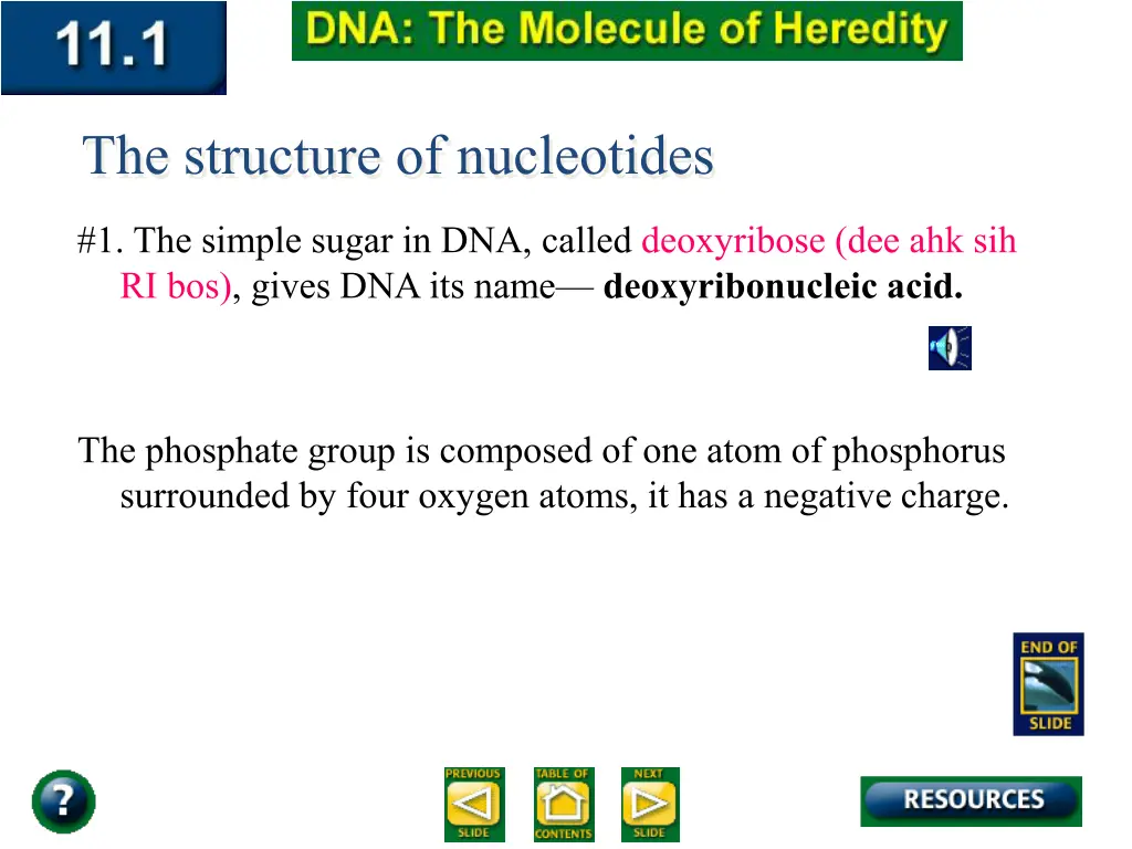 the structure of nucleotides