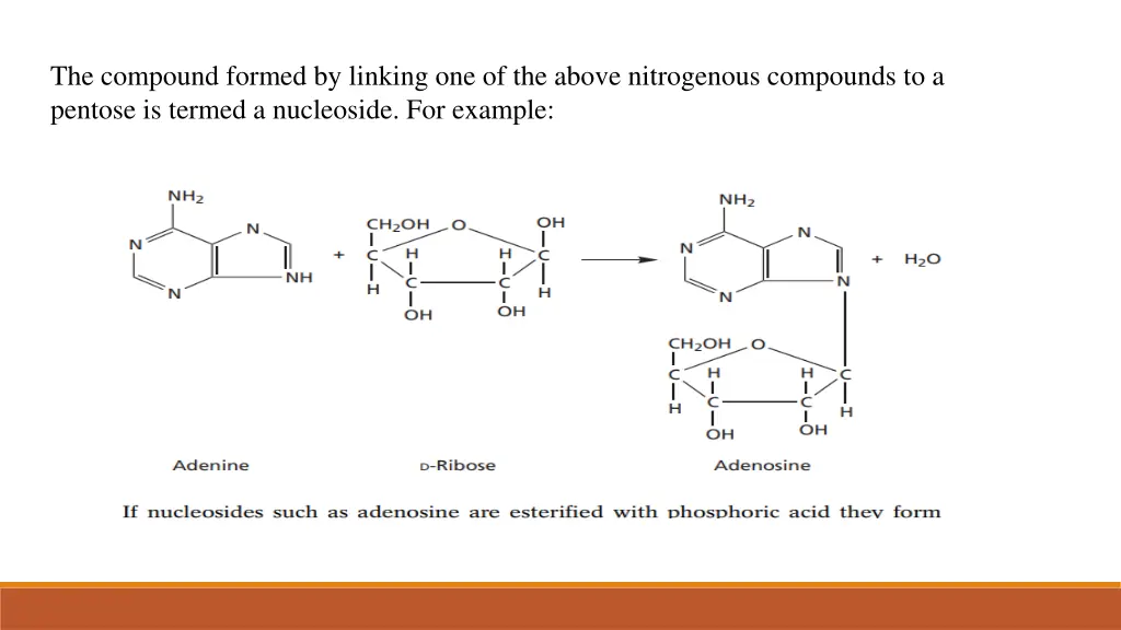 the compound formed by linking one of the above