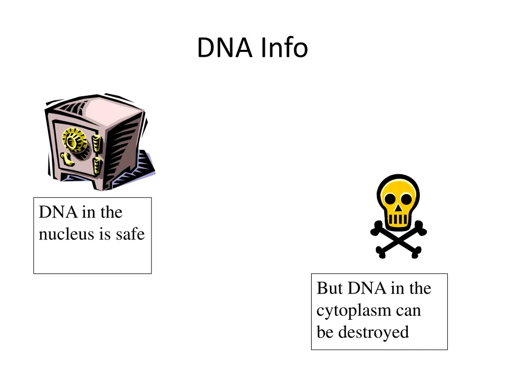 dna info